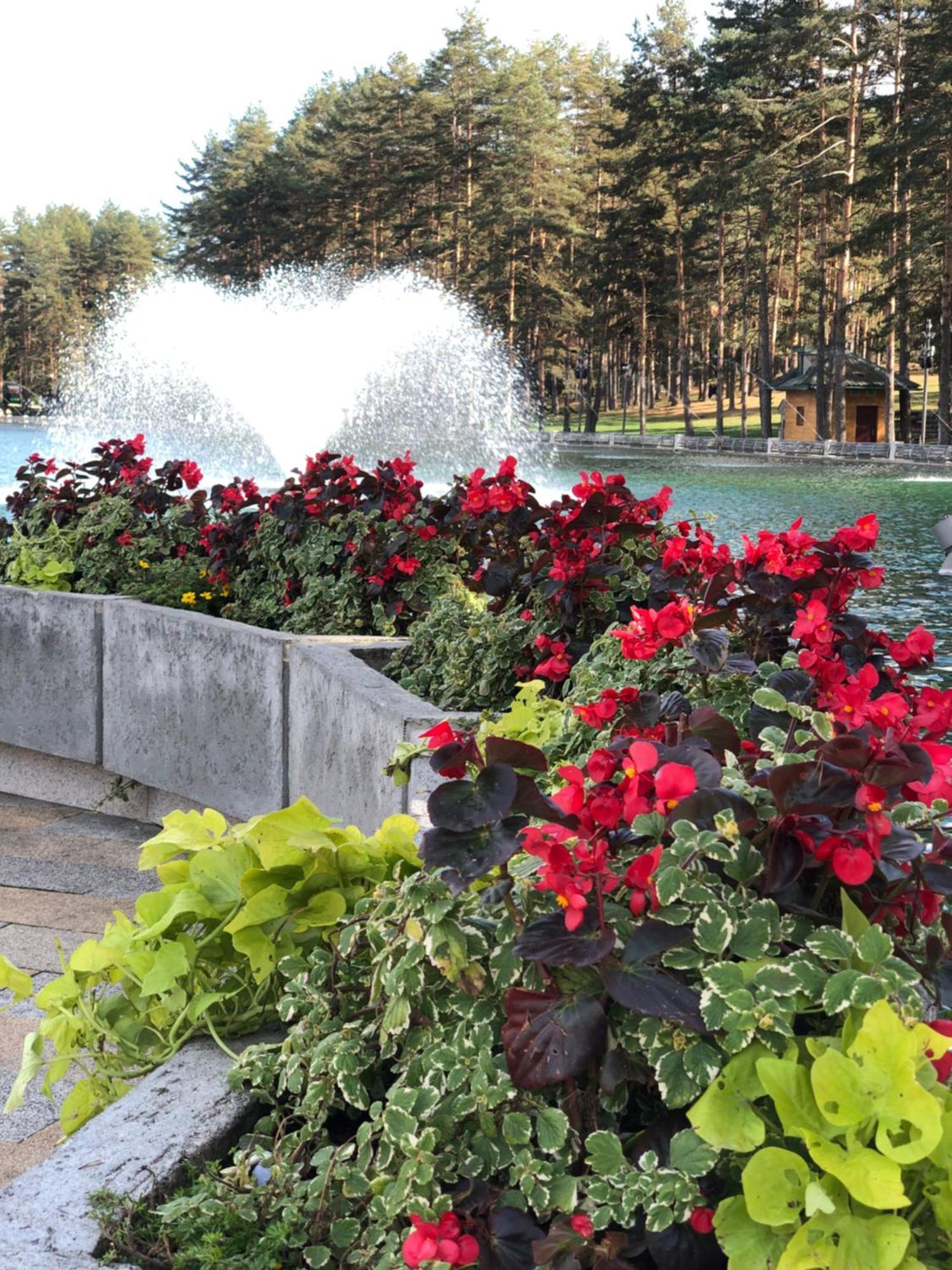 Danijela & Konak Zlatibor Exterior photo